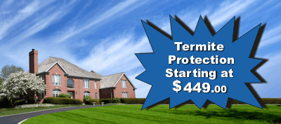 Termite Control